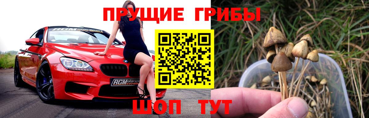 Щёкино  Галлюциногенные грибы мицелий  Вход с VPN 