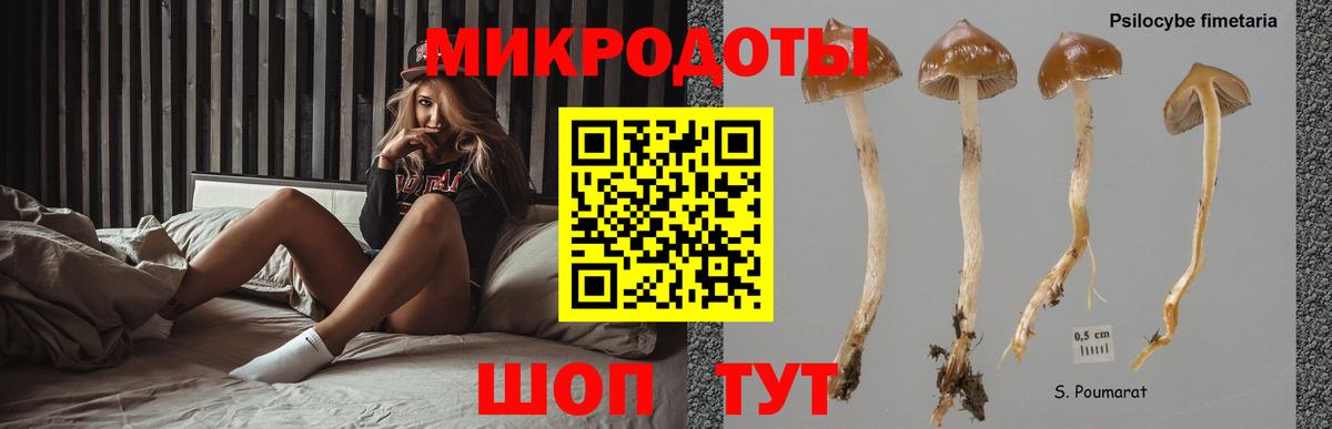 Галлюциногенные грибы мицелий Щёкино